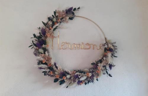 Le Logis d'Hermione - Foto 7