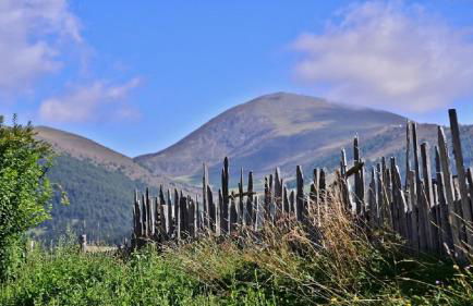 Holiday Residence Mesenhaus - Foto 22