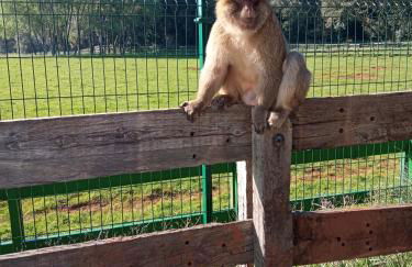 Vivienda Rural La Mazuga - Foto 61