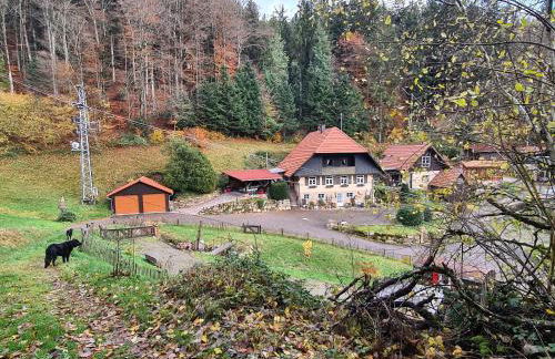 Rechenpeterhäusle - Foto 13