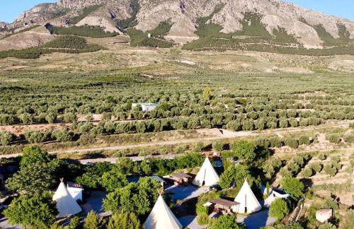 Beautiful Teepee with private facilities - Foto 3