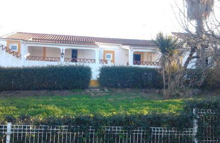 Casa das 3 Palmeiras - Foto 2