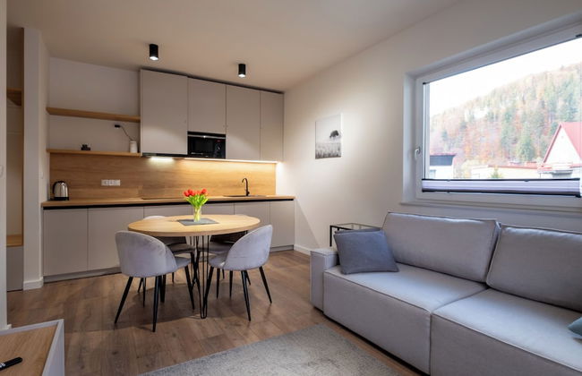 Apartamenty Sun & Snow River Park - Photo 16