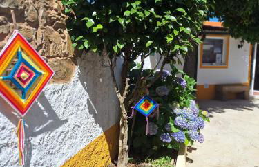 Quinta do Ti Vasco - Foto 19