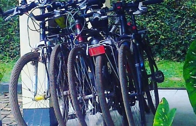 Crater Bay Cottages - Photo 41