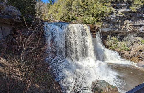 Leaf Peeper's - HUGE deck, pizza oven, Pac-man! - Photo 74