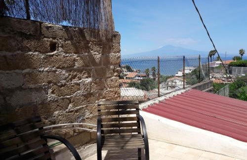 Il Limone, la Salvia e il Rosmarino - Foto 20