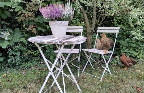 Ruhige Ferienwohnung „Südhang“ direkt am Wald - Foto 29