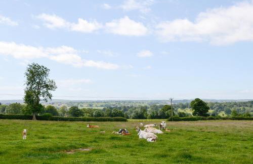 Buttercup Cottage - Foto 10