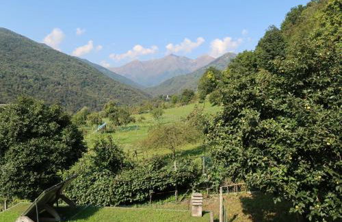 Apartment Gialla by Interhome - Photo 37