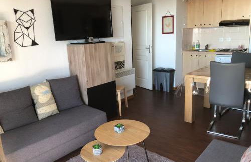 Lama-Gîte-des-Puys T3 Lamadalet, vue sud, terrasse, parking privé - Photo 7