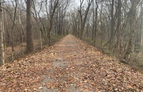 Canal Cabins - Foto 60