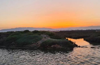 Lo de Joel - Foto 18