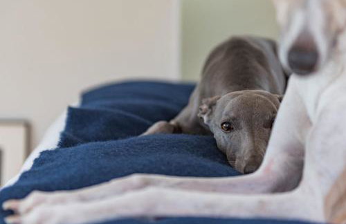 North Vat by Bloom Stays - Photo 8