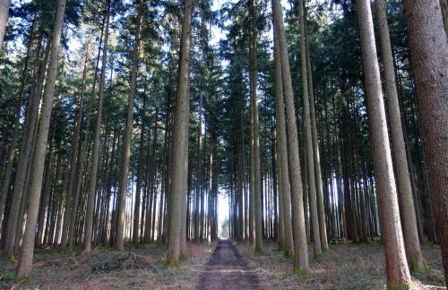 Haus am Hof - Foto 28