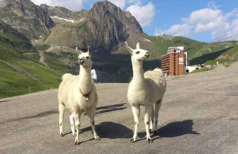 Comfort Duplex Apartment, Foot Of The Slopes - Foto 55