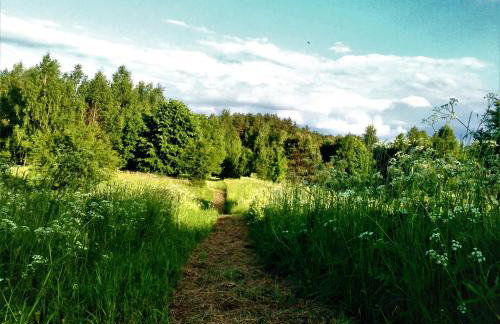 Butterfly Factory - Foto 35