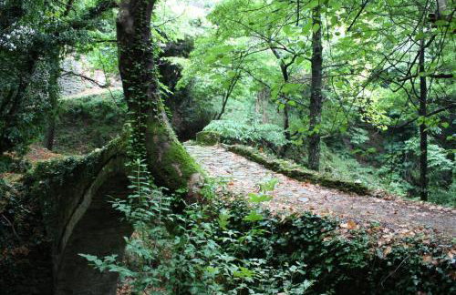 Tsagarada Stone House 1898 - Foto 71