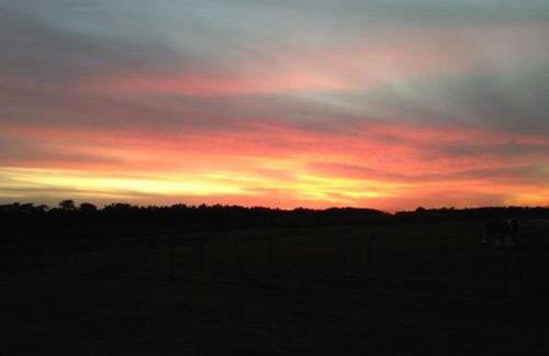 Nightingale Lodge - Adults Only - Foto 20