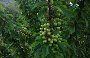 CASA BRIGIDA - Foto 42