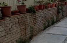 International Apartment - Photo 16