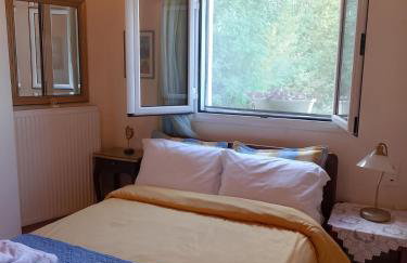 Dora's Home - Photo 16