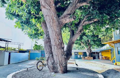 Suíte de Luxo em Boa Vista - Foto 6