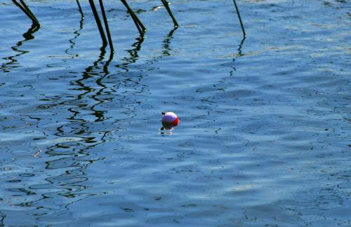 Family-Friendly Cabin Retreat on the Shores of Pokegama Lake, Minnesota - Photo 7