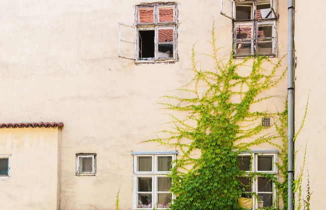 Szentharomsag 4 Apartment - Foto 18