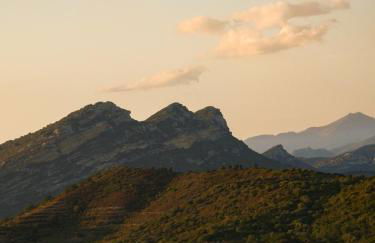 APICULTEUR - Foto 21