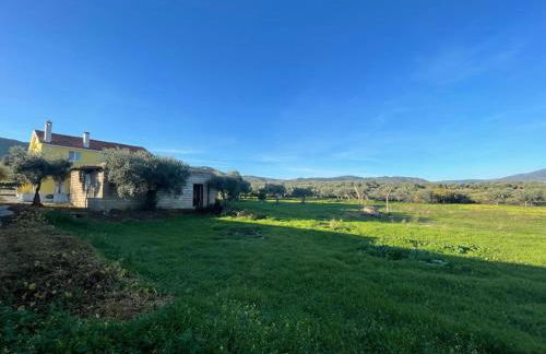 Samorinha House - Foto 28