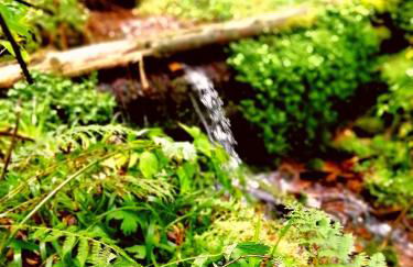 Ferienwohnung Familie Kowarik - Foto 25