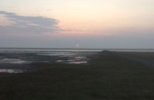 Strandrose - Foto 20