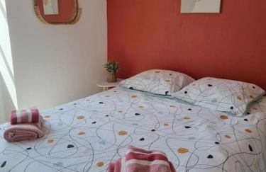 Appartement centre d'Orléans en bord de Loire - Foto 38