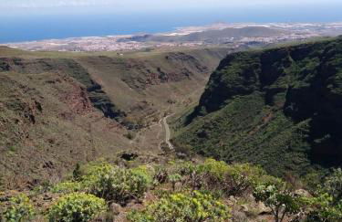 Holla del Saldo - Foto 38