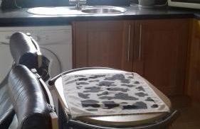 Harris End - Foto 14