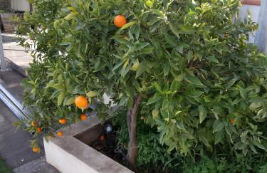 Le Casette di Nonna Rosa in Fontanarossa Catania Airport - Foto 79