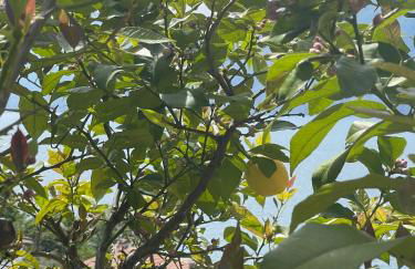 Le Due Terrazze - Foto 33