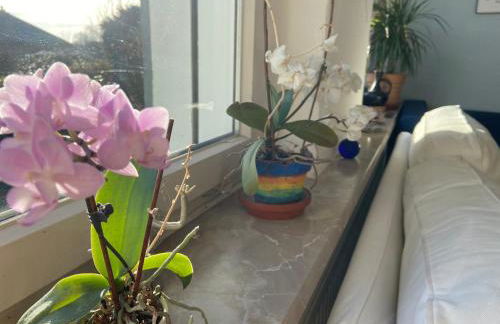 Platz, Natur, Lüneburg - Villa Heidberg - Foto 6