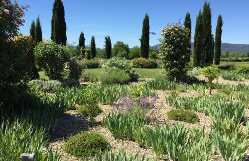 Rinidia Bio - Foto 12