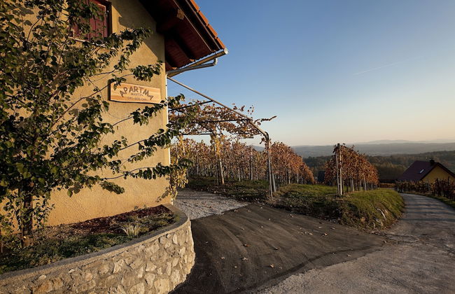 Vineyard Cottage Brodaric - Foto 20