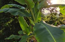 Casa Nova das Oliveiras - Foto 21