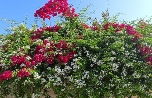 Apartment For 2 - 4 People Just 100m From the Sandy Sea - Foto 12