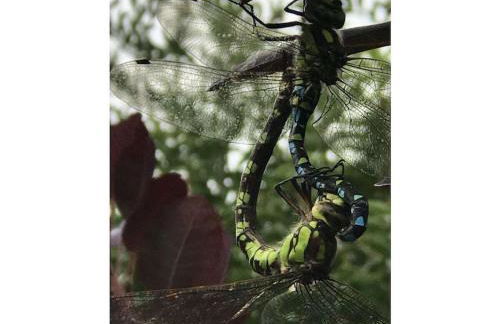 Spessart Romanticism - Foto 12