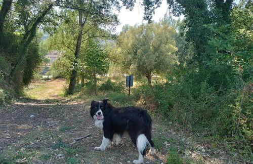 Casas Natura Suites Graus - Foto 13