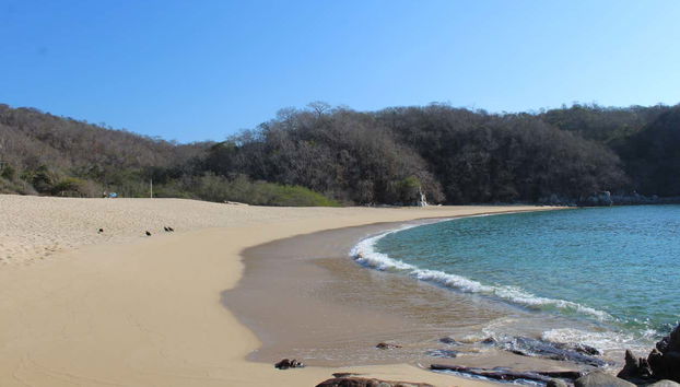 Spiaggia di El Órgano