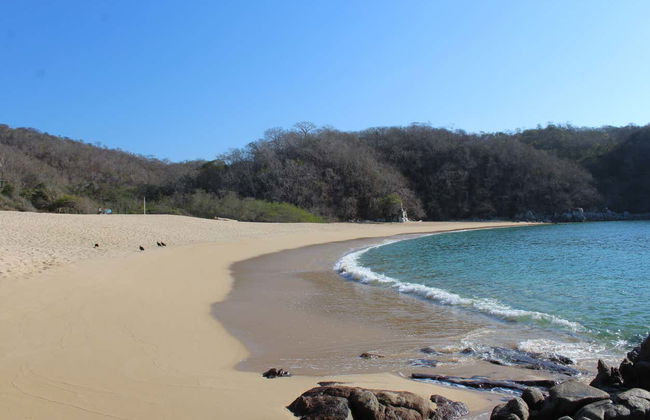 Huatulco National Park Hiking & Snorkelling - Photo 4