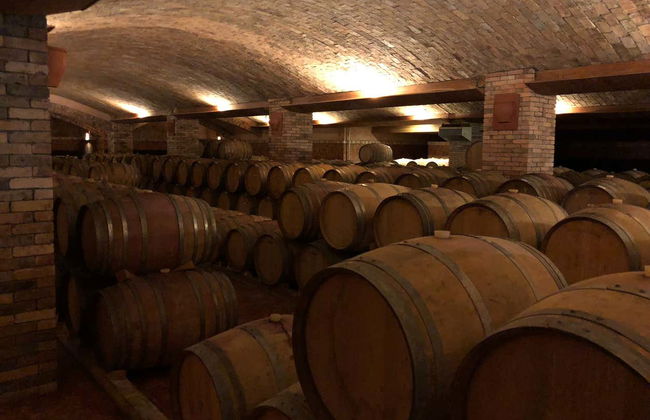 São Joaquim Wine Tour - Photo 6