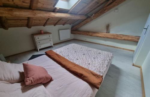 Cœur de volcan - Foto 13