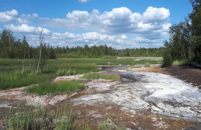 Chalet in Ore Mountains Near Ski Slopes - Foto 35